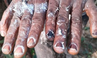 Guinée. Un nouveau rapport révèle les abus envers les droits de travailleurs de plantations liées à la Soguipah, une entreprise d’État